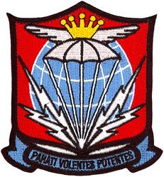 436th Operations Group Heritage
