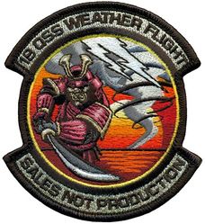 18th Operations Support Squadron Weather Flight
