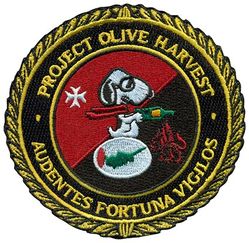 1st Expeditionary Reconnaissance Squadron Project OLIVE HARVEST
