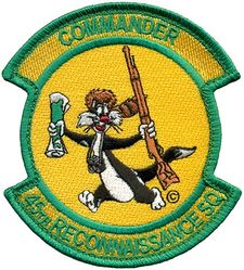 45th Reconnaissance Squadron Commander
