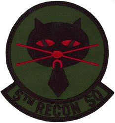 5th Reconnaissance Squadron
Keywords: Subdued