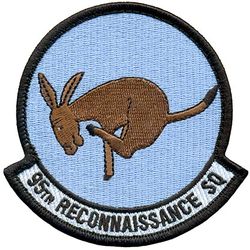 95th Reconnaissance Squadron 
