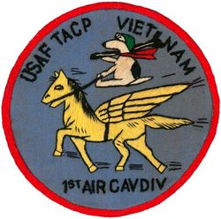 Tactical Air Control Party 1st Air Cavalry Division
