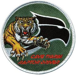 460th Test & Evaluation Squadron F-22 Pilot
