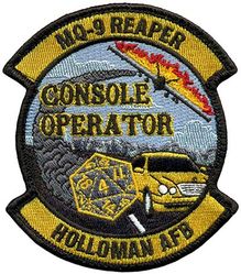 16th Training Squadron MQ-9 Console Operator
