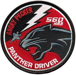 56th Training Squadron F-35 Pilot 560 Hours
