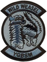 6th Weapons Squadron Wild Weasel
