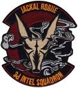 3rd_Intelligence_Squadron_Jackal_Rogue-1071-A.jpg