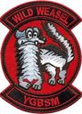 77-FIGHTER-SQUADRON-WILD-WEASEL-1171-A.jpg