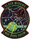 BLACKWIDOWS-1001-B.jpg