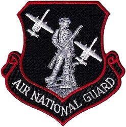 107th Fighter Squadron Air National Guard A-10 Morale
