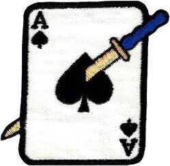 116th Fighter-Interceptor Squadron
Sword penetrates through card, twill version. 1960s era.
