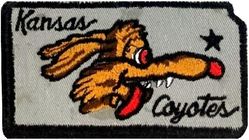 117th Tactical Reconnaissance Squadron Morale
Hat patch.
Keywords: Wile E. Coyote