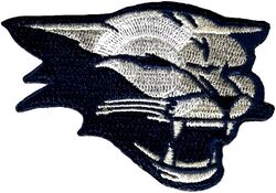120th Fighter Squadron Morale
