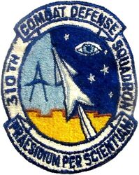 310th Combat Defense Squadron
