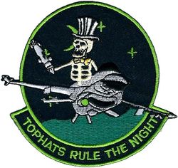 310th Fighter Squadron F-16 Low Altitude Navigation and Targeting Infrared for Night
LANTIRN system.
