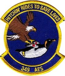 349th Aeromedical Evacuation Squadron Morale
