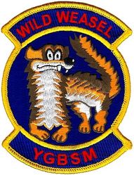 35th Fighter Wing Wild Weasel
