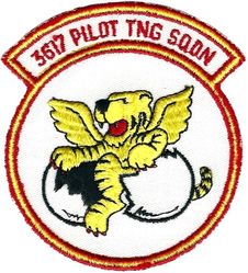 3617th Pilot Training Squadron 
