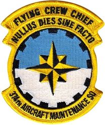 374th Aircraft Maintenance Squadron Flying Crew Chief
