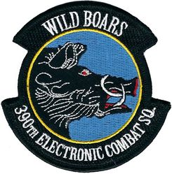 390th Electronic Combat Squadron 
