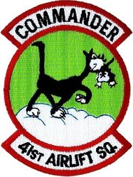 41st Airlift Squadron Commander
