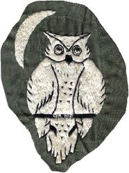 497th Tactical Fighter Squadron Night Owl
Cut out from direct-embroidered flight suit. Thai made.
Keywords: 497th Tactical Fighter Squadron