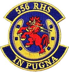 556th RED HORSE Squadron
