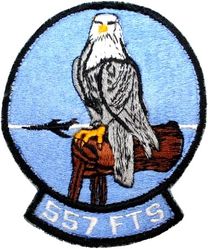 557th Flying Training Squadron
First FTS version.
