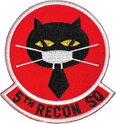 5th Reconnaissance Squadron Morale
Made during 2020 COVID-19 pandemic. Korean made.
