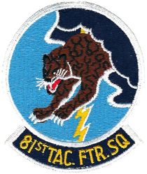 81st Tactical Fighter Squadron
Worn by unit F-16 pilots, made without wild weasel tab. German made.
