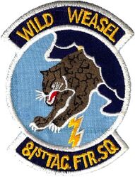 81st Tactical Fighter Squadron
On light blue twill, German made.
