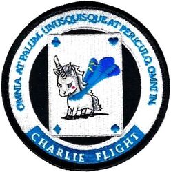 90th Cyberspace Operations Squadron Charlie Flight
