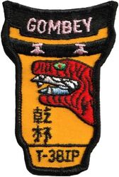 97th Flying Training Squadron Gombey Flight T-38 Instructor Pilot
