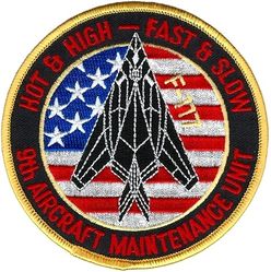 9th Aircraft Maintenance Unit F-117
