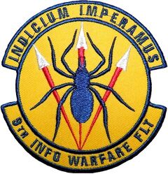 9th Information Warfare Flight
