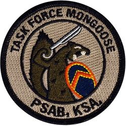 Air Force Office of Special Investigations Expeditionary Detachment 2419 Task Force Mongoose
