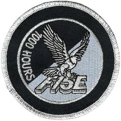 McDonnell Douglas F-15E Strike Eagle 1000 Hours
