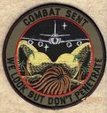 343_RS_Combat_Sent_WLBDP.jpg