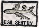 552_AWAC_Wg_E-3A_Sentry.jpg