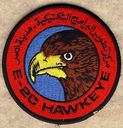 E-2C_Hawkeye_28V729.jpg