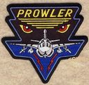 EA-6B_Prowler_28tri_V829.jpg
