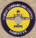 Hawkeye_Combat_C2.jpg